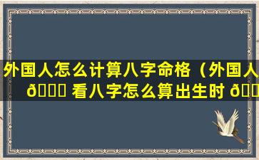 外国人怎么计算八字命格（外国人 🐝 看八字怎么算出生时 🐶 间）